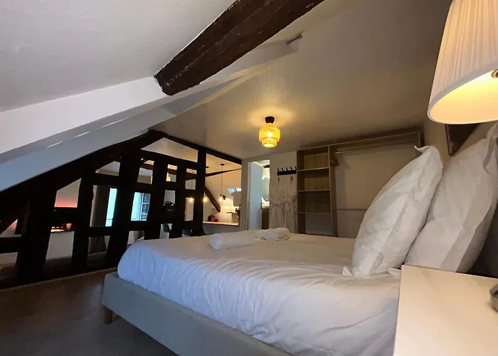 Le Gatsby - Cosy Flat Hyper-Centre Senlis